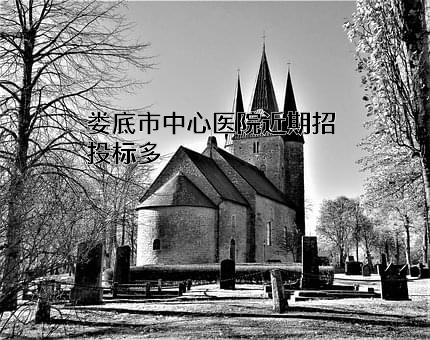 娄底市中心医院近期招投标项目多