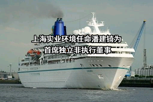 上海实业环境控股有限公司