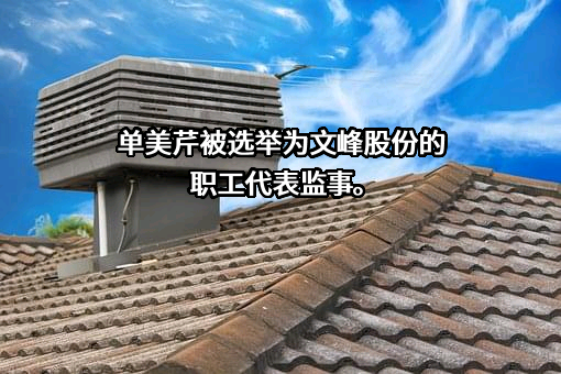 文峰大世界连锁发展股份有限公司