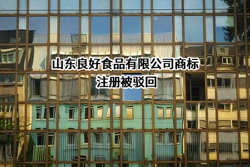 山东良好食品有限公司商标注册被驳回