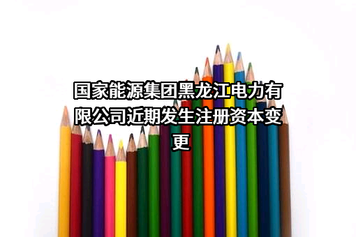 国家能源集团黑龙江电力有限公司