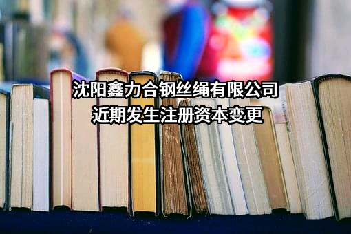沈阳鑫力合钢丝绳有限公司