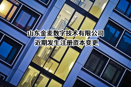 山东金麦数字技术有限公司