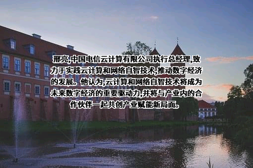 中国电信集团有限公司