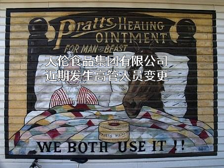 天伦食品集团有限公司