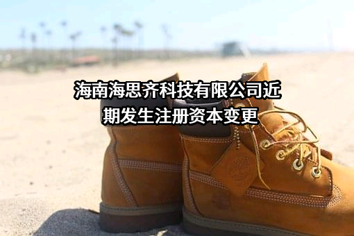 海南海思齐科技有限公司