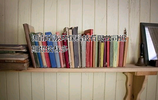 湖南政龙环保科技有限公司