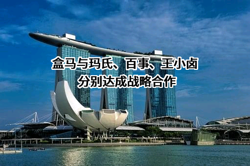 上海盒马网络科技有限公司