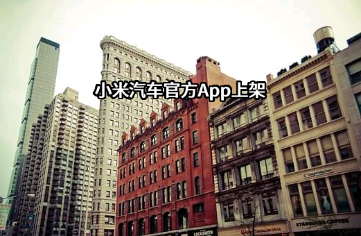 小米汽车有限公司