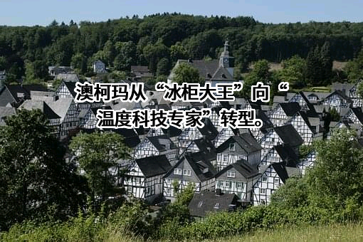 澳柯玛股份有限公司