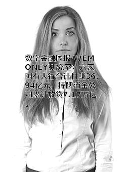重庆小米消费金融有限公司