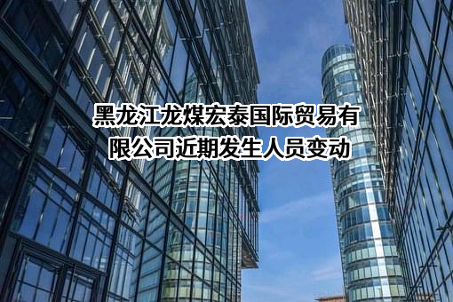 黑龙江龙煤宏泰国际贸易有限公司