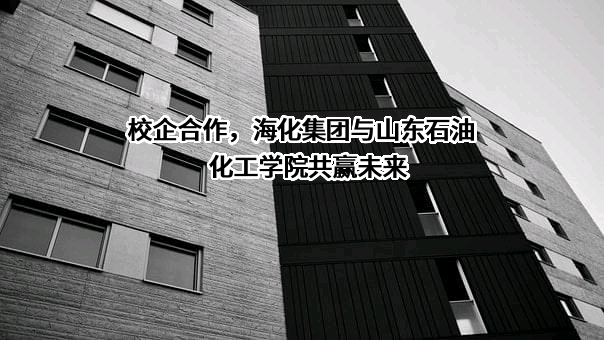 山东石油化工学院