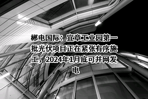 湖南郴电国际发展股份有限公司