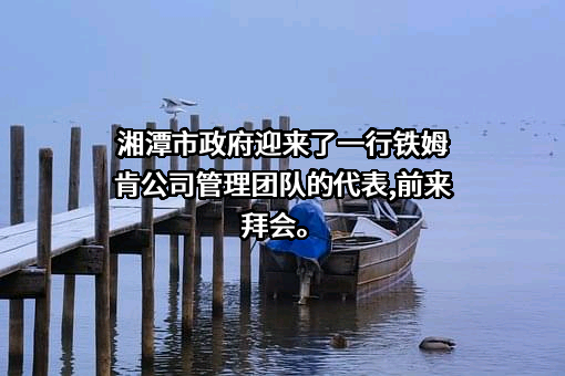 铁姆肯公司