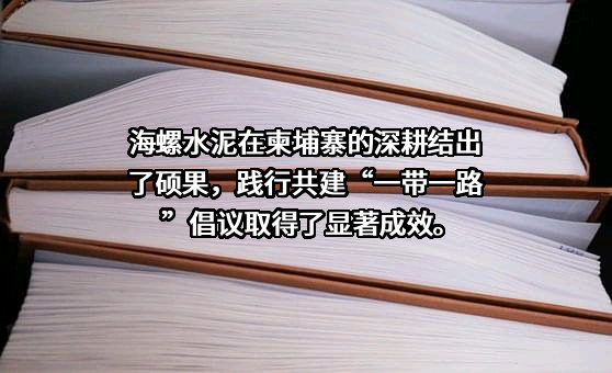 安徽海螺水泥股份有限公司