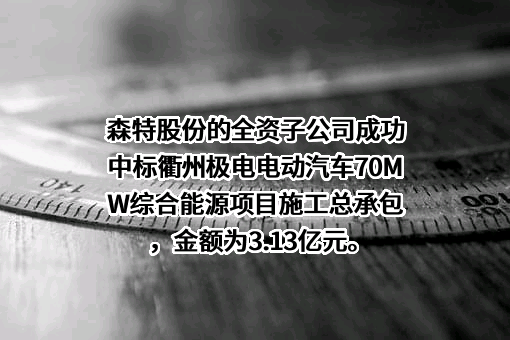 森特士兴集团股份有限公司
