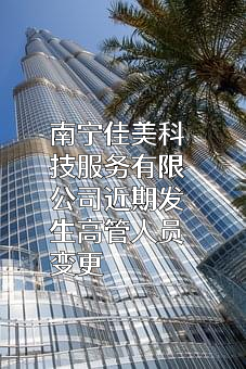 南宁佳美科技服务有限公司