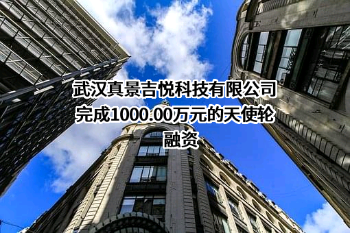 武汉真景吉悦科技有限公司