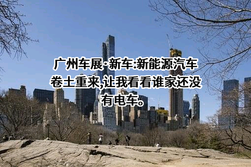 华为技术有限公司