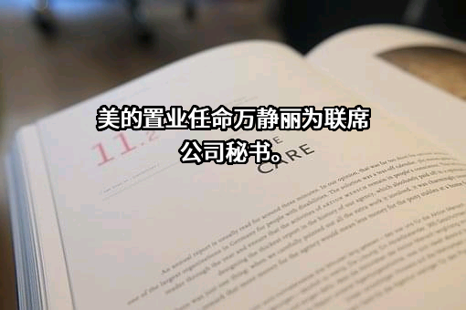 美的置业集团有限公司