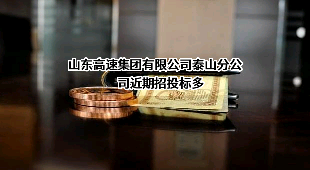 山东高速集团有限公司泰山分公司