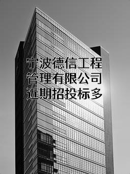 宁波德信工程管理有限公司