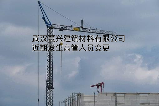 武汉寰兴建筑材料有限公司