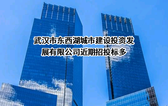 武汉市东西湖城市建设投资发展有限公司