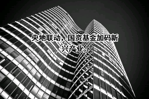 黄石市国资基金管理有限公司