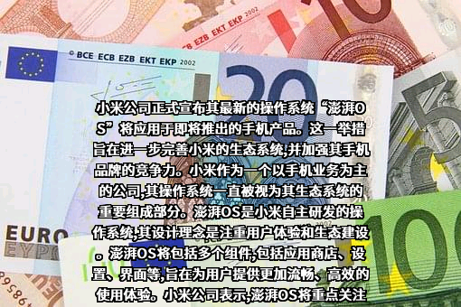 小米科技有限责任公司