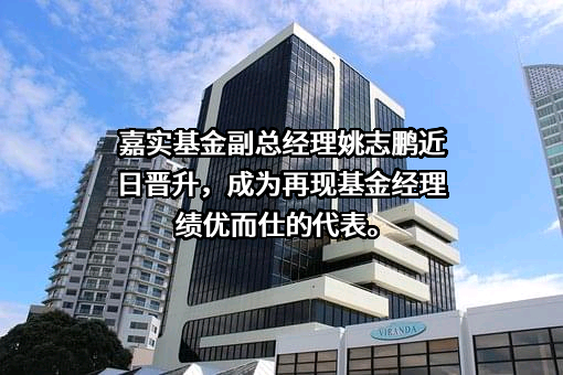 嘉实基金管理有限公司