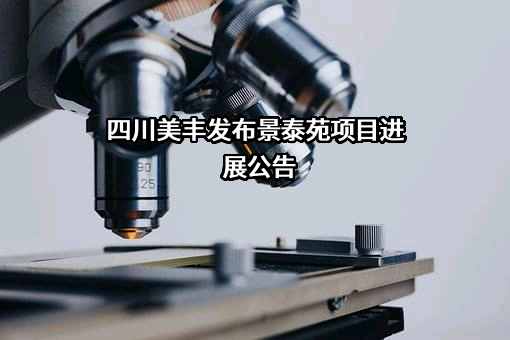 四川美丰化工股份有限公司