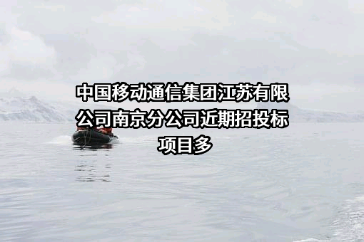 中国移动通信集团江苏有限公司南京分公司