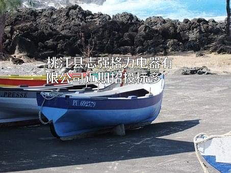 桃江县志强格力电器有限公司近期招投标项目多