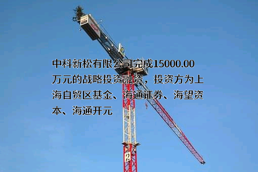 中科新松有限公司