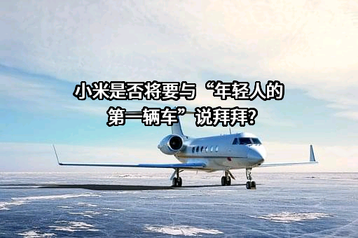 小米汽车有限公司