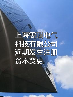 上海雯琪电气科技有限公司