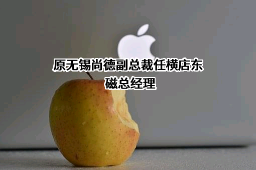 横店集团东磁股份有限公司