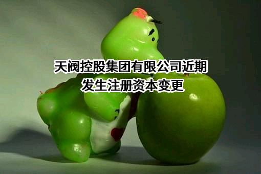 天阀控股集团有限公司
