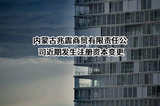 内蒙古兆震商贸有限责任公司