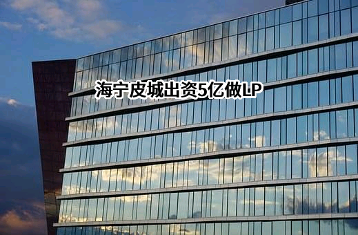 海宁中国皮革城股份有限公司