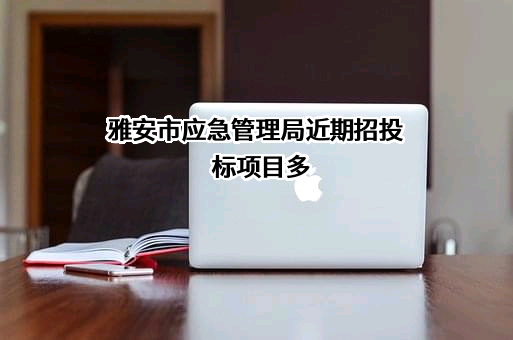 雅安市应急管理局