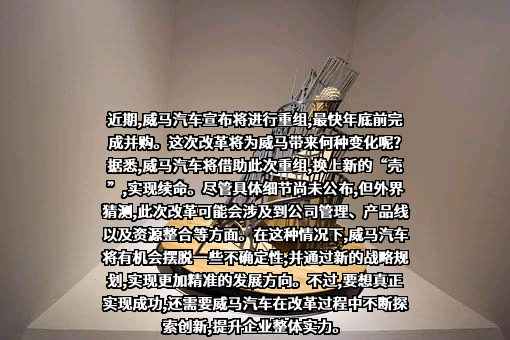 威马汽车科技集团有限公司