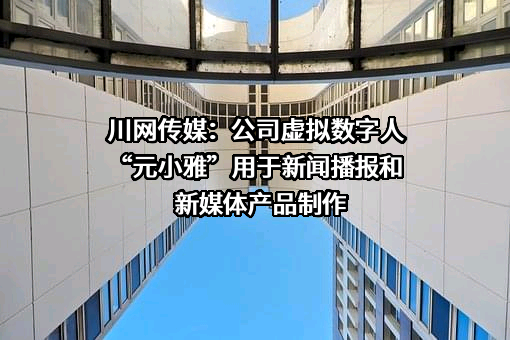 四川新闻网传媒（集团）股份有限公司