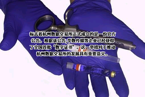 华数传媒控股股份有限公司
