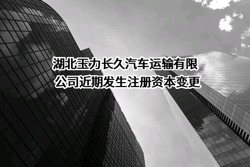 湖北玉力长久汽车运输有限公司