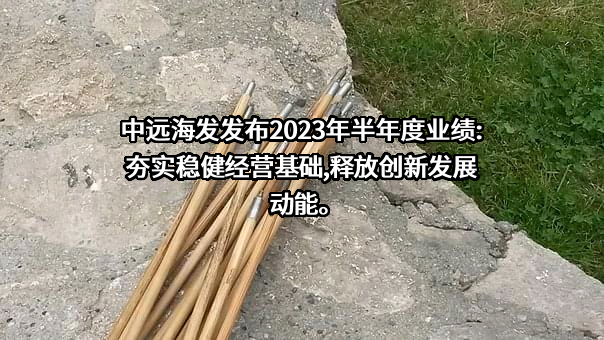 中远海运发展股份有限公司