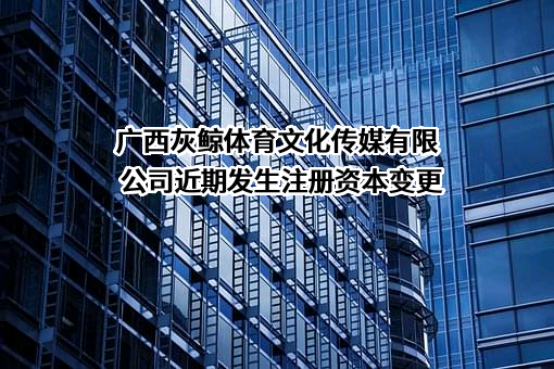 广西灰鲸体育文化传媒有限公司