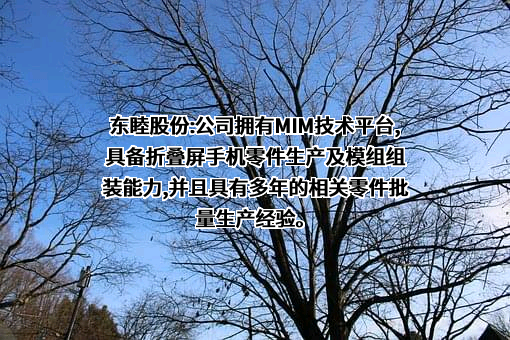 东睦新材料集团股份有限公司